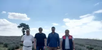Pehlivanköy Kaymakamı Lavanta Üreticilerini Ziyaret Etti