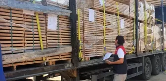 Kırklareli İhracat Denetimleri ve Spor Şampiyonasında Başarılar