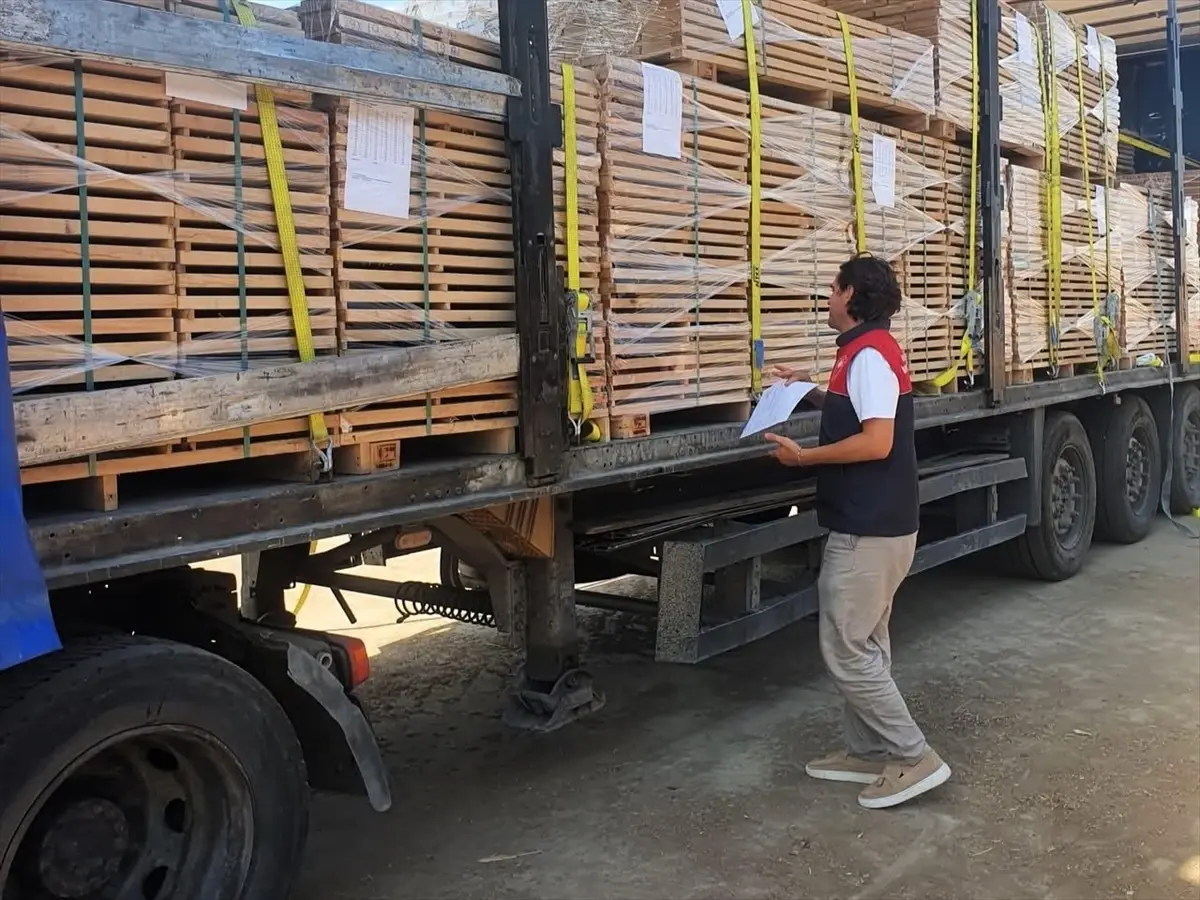 Kırklareli İhracat Denetimleri ve Spor Şampiyonasında Başarılar