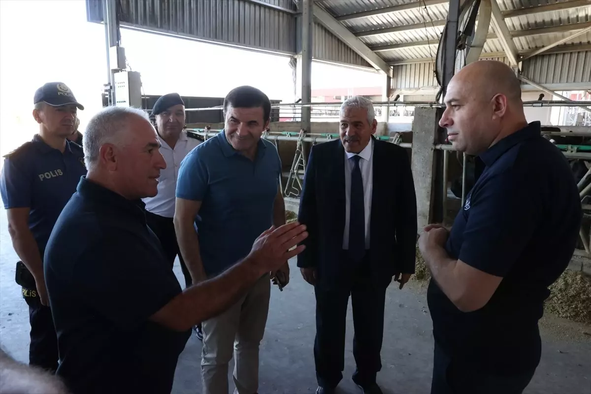 Kırklareli Vali Yardımcısı Hayvancılıkta Destekleri İnceledi