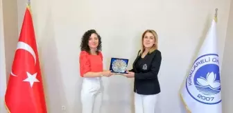 Elif Canan Tuncer İstanbul Vali Yardımcılığına Atandı