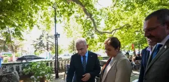 Kırklareli Valisi Uğur Turan Anıt Çınar Ağacını İnceledi