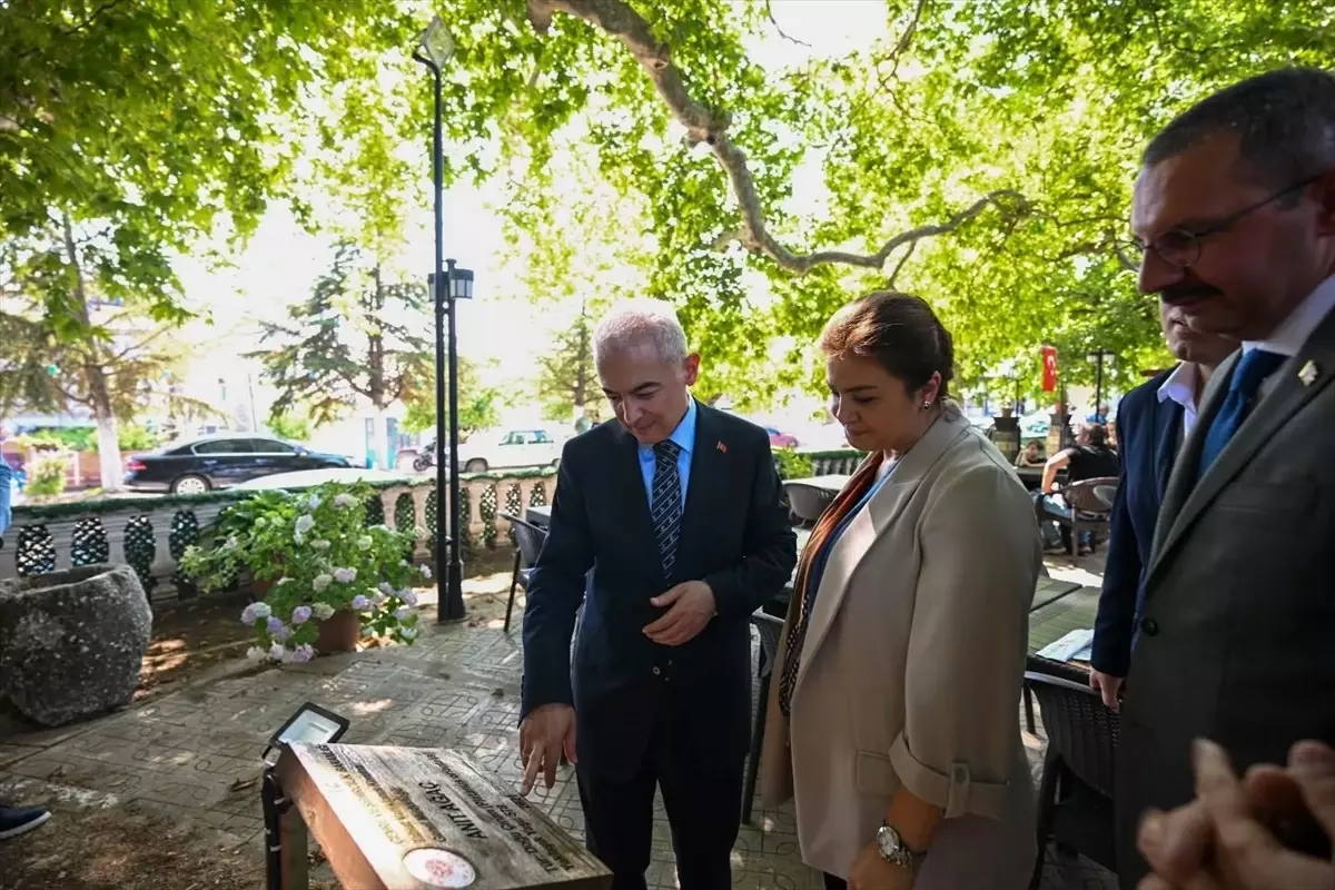 Kırklareli Valisi Uğur Turan Anıt Çınar Ağacını İnceledi