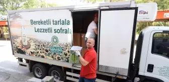 Kırkpınar Yağlı Güreşleri için 2 Ton Zeytinyağı Hazırlandı