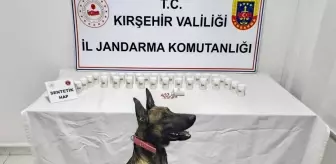Kırşehir'de Uyuşturucu Operasyonu: 1823 Sentetik Hap Ele Geçirildi