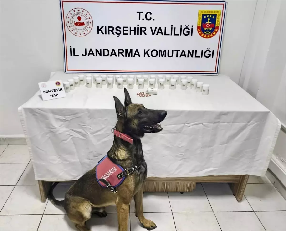 Kırşehir'de Uyuşturucu Operasyonu: 1823 Sentetik Hap Ele Geçirildi