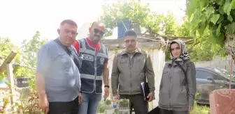 Kırşehir'de Yasak Saka Kuşu Satışına 77 Bin Lira Ceza