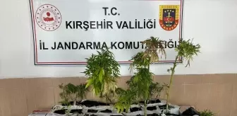 Kırşehir'de Uyuşturucu Üretimi İddiasıyla Bir Zanlı Gözaltına Alındı