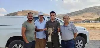 Kırşehir'de Yaralı Yılan Kartalı Tedavi Altına Alındı