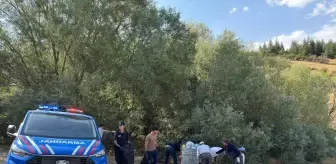 Kırşehir'de Orman Yangınlarına Karşı Farkındalık Etkinliği Düzenlendi