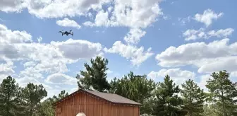 Kırşehir'de Dronla Orman Denetimi: Piknikte Ateş Yakanlar Takipte