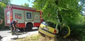 Kandıra'da Ağaca Çarpan Otomobildeki Yaşlı Çift Yaralandı