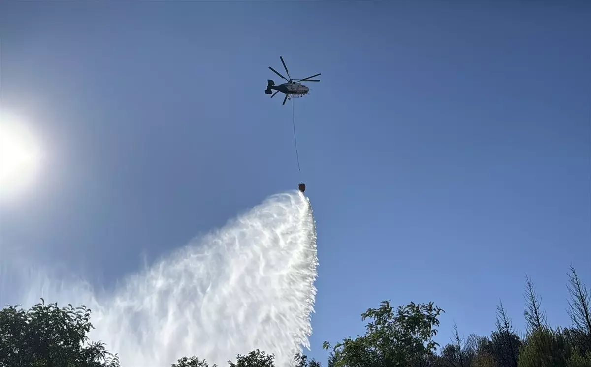 Gebze'de Ağaçlık Alanda Yangın Kontrol Altına Alındı