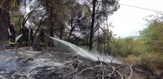 İzmit'te Ağaçlık Alanda Yangın Söndürüldü