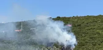 Kocaeli Derince'de Ağaçlık Alanda Yangın Çıktı