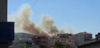 Kocaeli'nin Gebze İlçesinde Ağaçlık Alanda Yangın Çıktı