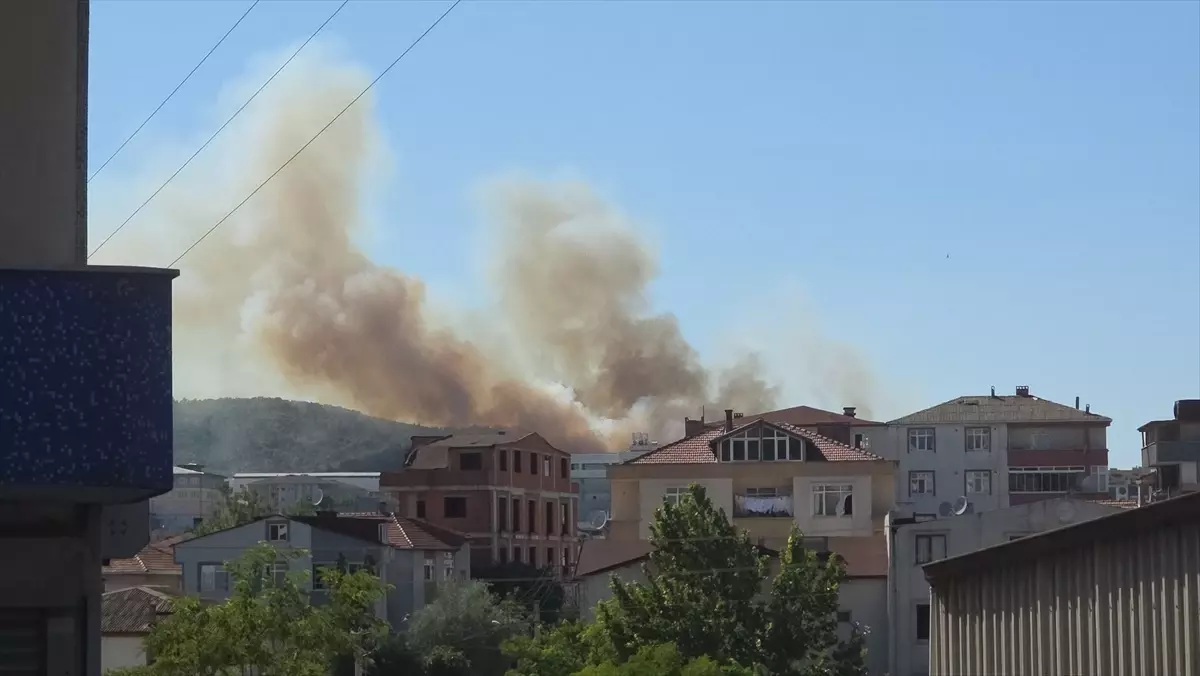 Kocaeli'nin Gebze İlçesinde Ağaçlık Alanda Yangın Çıktı