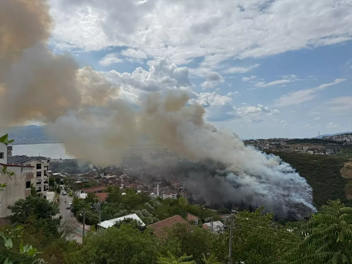 Kocaeli İzmit'te Ağaçlık Alanda Yangın Çıktı