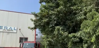 Başiskele'de Fabrikada Yangın Kontrol Altına Alındı