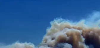 Kocaeli'de Orman Yangınına Hızlı Müdahale