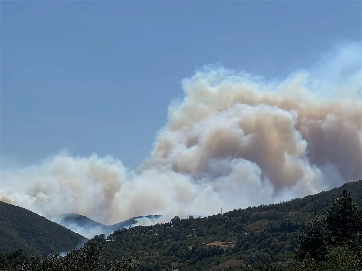 Kocaeli'de Orman Yangınına Hızlı Müdahale