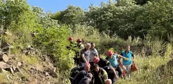 Kocaeli'de Piknik Yaparken Kayalıklardan Düşen Kadın Hayatını Kaybetti