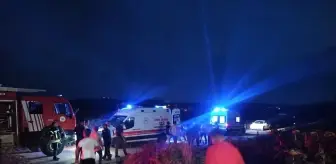 Ağaç Kesimi Faciası: 65 Yaşındaki Adam Hayatını Kaybetti
