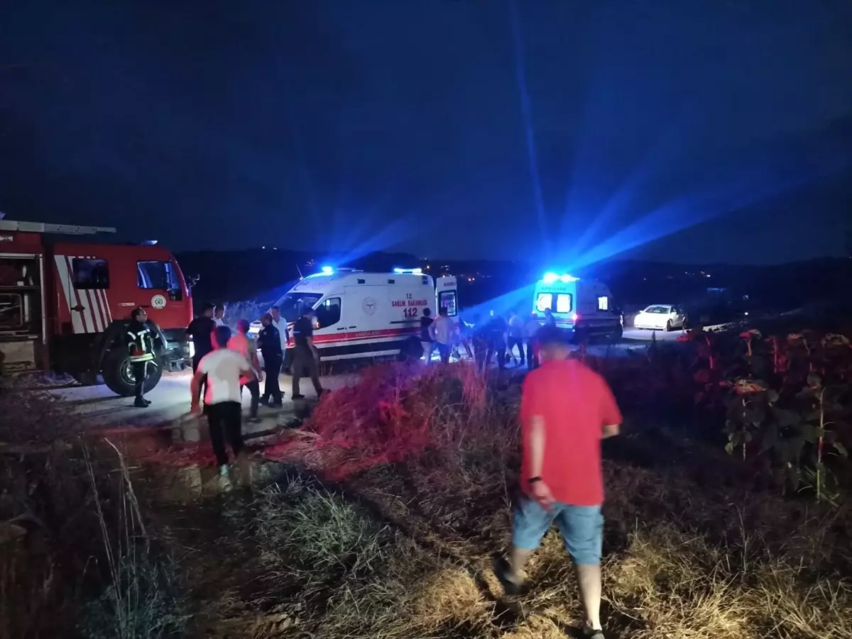 Ağaç Kesimi Faciası: 65 Yaşındaki Adam Hayatını Kaybetti