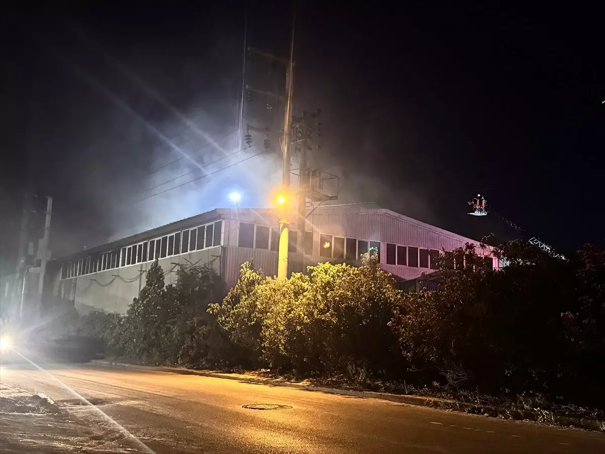Kocaeli'nde Kompozit Fabrikasında Yangın Çıktı