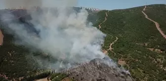 Kocaeli'de Yangın Çıktı