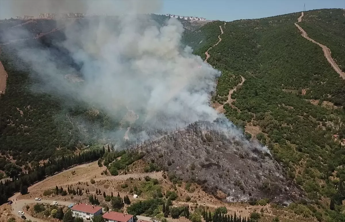 Kocaeli'de Yangın Çıktı