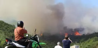 Kocaeli'nin Derince İlçesinde Yangın Çıktı