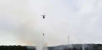 Kocaeli'de Orman Yangını Kontrol Altına Alındı