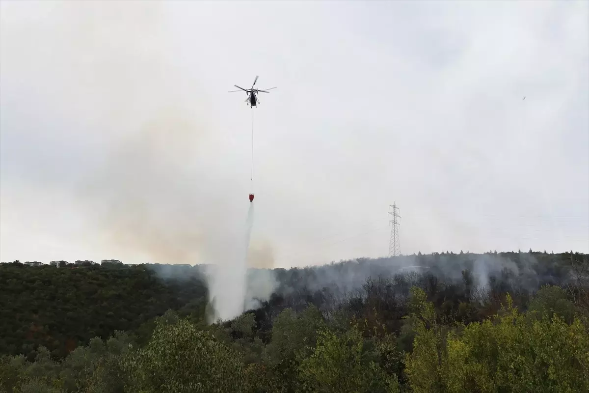 Kocaeli'de Orman Yangını Kontrol Altına Alındı