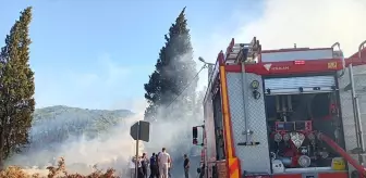 Karamürsel'de Orman Yangını: İtfaiye Ekipleri Mücadele Ediyor