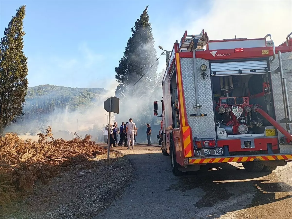 Karamürsel'de Orman Yangını: İtfaiye Ekipleri Mücadele Ediyor