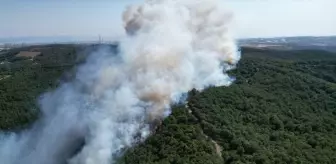Kocaeli'nin Gebze İlçesinde Orman Yangınına Müdahale Ediliyor