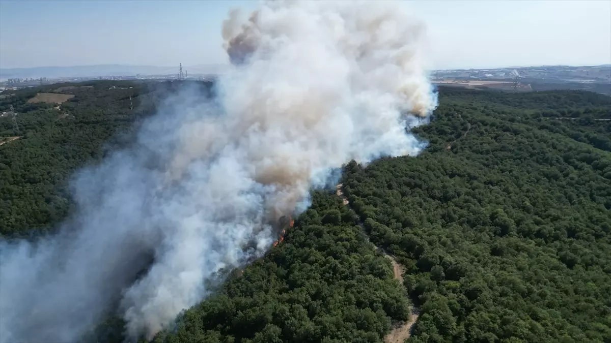 Kocaeli'nin Gebze İlçesinde Orman Yangınına Müdahale Ediliyor