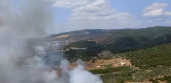 Kocaeli Derince'de Otluk Alanda Yangın