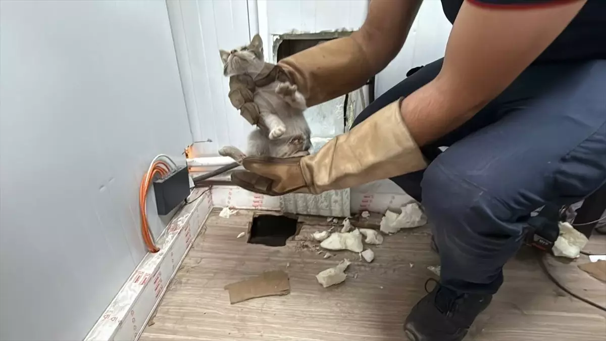 Kocaeli'de Itfaiye Ekipleri Sıkışan Kedi Yavrusunu Kurtardı