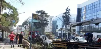 Gebze'de Seyir Halindeki Aracın Üzerine Ağaç Devrildi