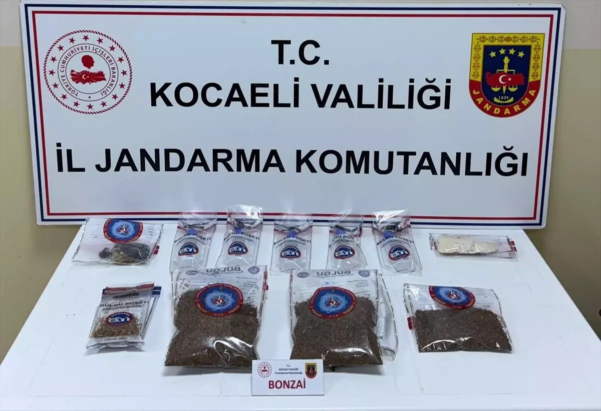 Kocaeli'de Uyuşturucu Operasyonu: 2 Şüpheli Tutuklandı
