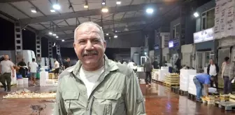 Karamürsel'de Balık Mezadında İlk Sezon Coşkusu