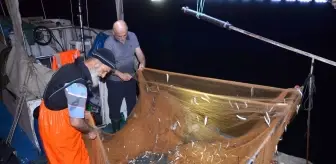 Karamürsel Ereğli Balık Hali'nde Av Yasaklarına Rağmen Taze Balık Hareketliliği