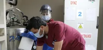 Kocaeli Üniversitesi Kemik İliği Nakil Merkezi: Bölgenin Öncü Sağlık Kuruluşu