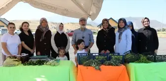 Kocasinan'da Kadın Girişimcilerden Organik Sebze Hasadı