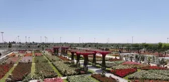 Karatay'da Gül Kokulu Yeni Yaşam Alanı Açıldı