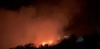 Konya'da Orman Yangınına Hava ve Karadan Müdahale