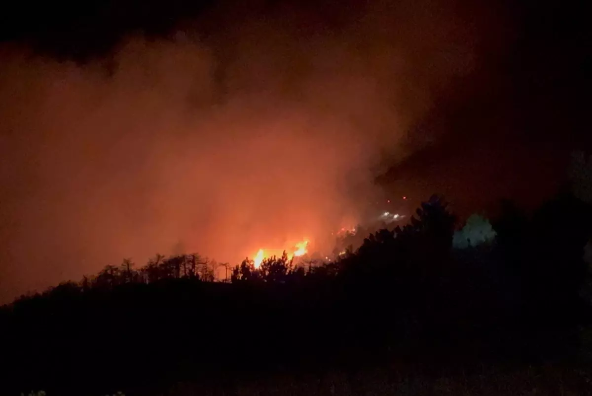 Konya'da Orman Yangınına Hava ve Karadan Müdahale