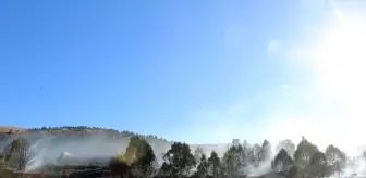 Konya'da Orman Yangını Kısa Sürede Söndürüldü